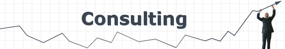 Consulting Banner