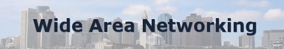 Wide Area Networking Banner