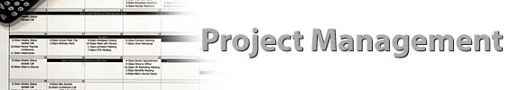 Project Management Banner